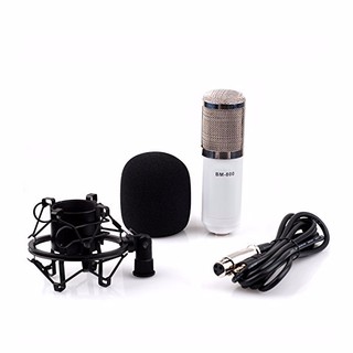 MICRO THU ÂM CHUYÊN NGHIỆP BM 800