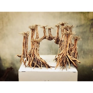 Bộ Lũa  layout Rừng Bay 50x35cm