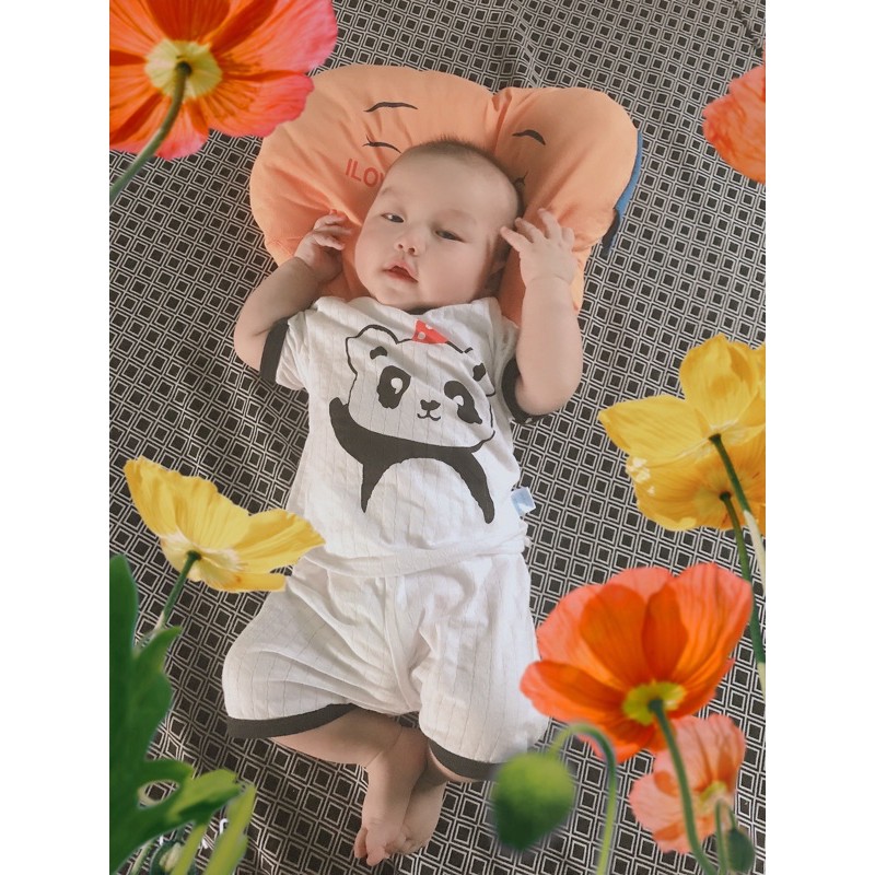 Xả kho_ Bộ cotton giấy cổ chui hàng QC cho bé