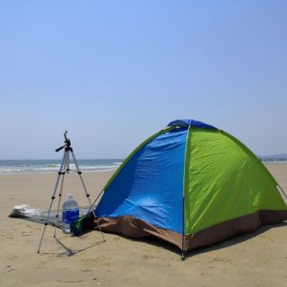 Chân Máy Ảnh Tripod 3311