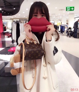 Túi LV Speedy nano