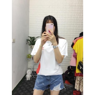 Áo thun qc cao cấp