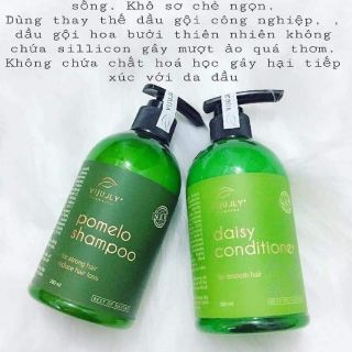 Combo 2 Món Dầu Gội , Xả ViJully