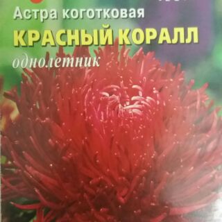 Hạt giống hoa cúc kim cương đỏ