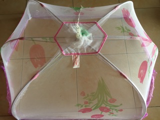 Màn chụp chống muỗi cho bé