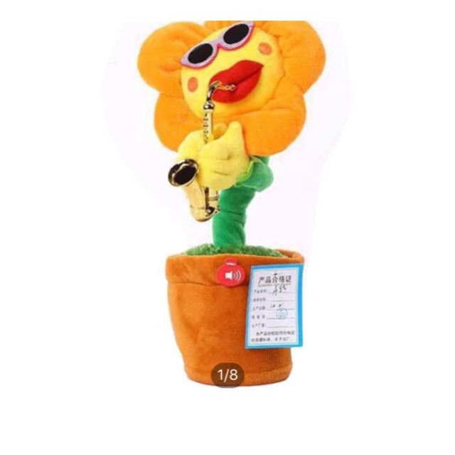 combo 2 cây hoa thổi kèn