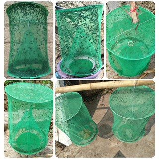 Lồng bẫy ruồi 88035