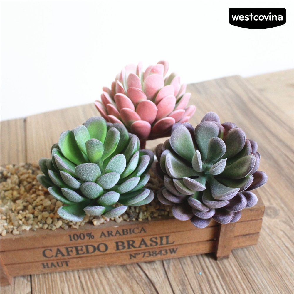 Cây sen đá giả trang trí nhà ở quán cà phê