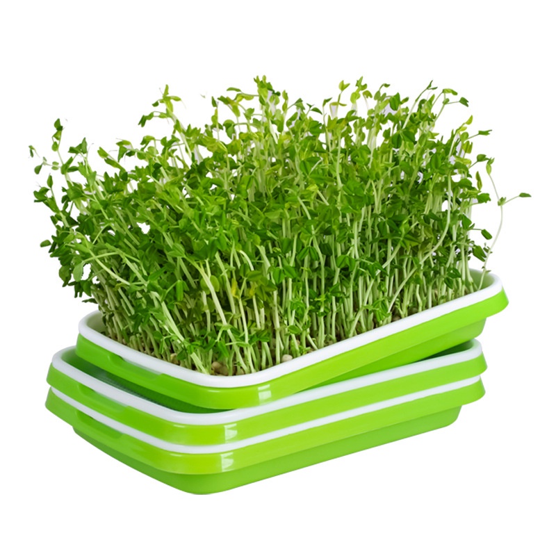 Khay Nhựa Trồng Rau Mầm Thủy Canh HKT Farm - Khay Trồng Rau Sạch Thông Minh Nhựa PP Nguyên Sinh An Toàn Không Độc Hại