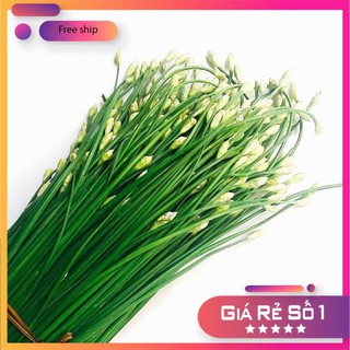 Hạt giống Hẹ Ăn Bông (1g)