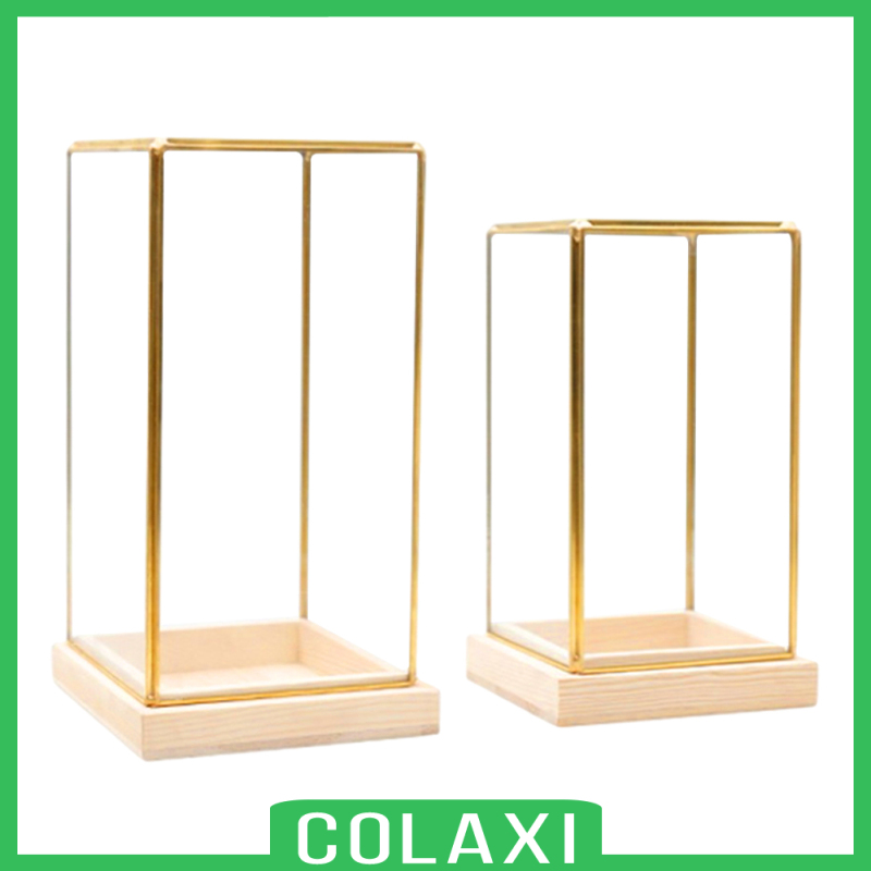 [COLAXI]Glass Display Case Decorative Cuboid Antique Artwork Showcase Terrarium