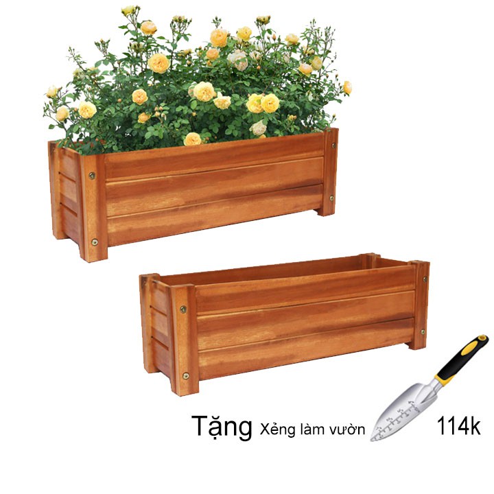 Bộ 2 Chậu gỗ trồng cây, chữ nhật D60xR22xC20cm, gỗ tràm chịu nước, tặng 2 hộp dưỡng hoa tươi lâu |Greenhome