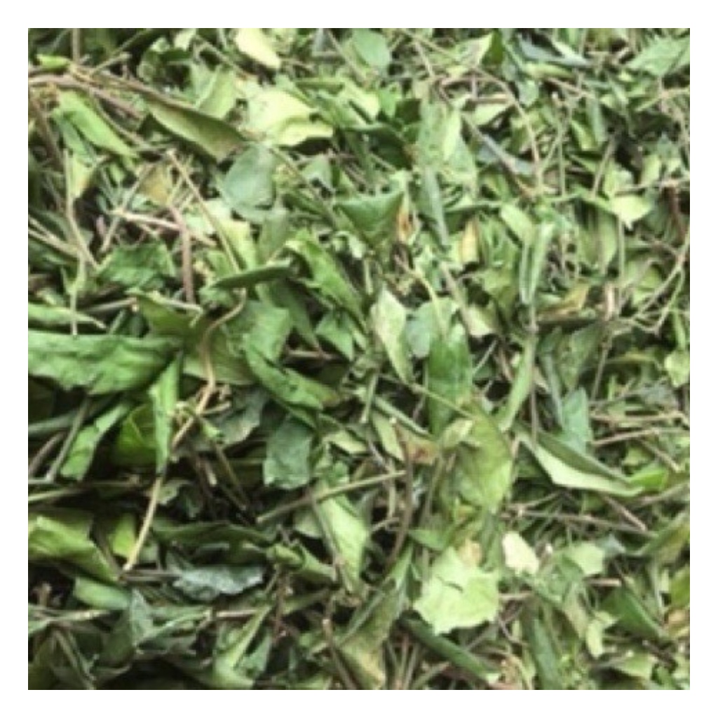 Dây Thìa Canh Loại 1 Hàng Mới Chất Lượng Hỗ Trợ Người Tiểu Đường Túi 1Kg | BigBuy360 - bigbuy360.vn