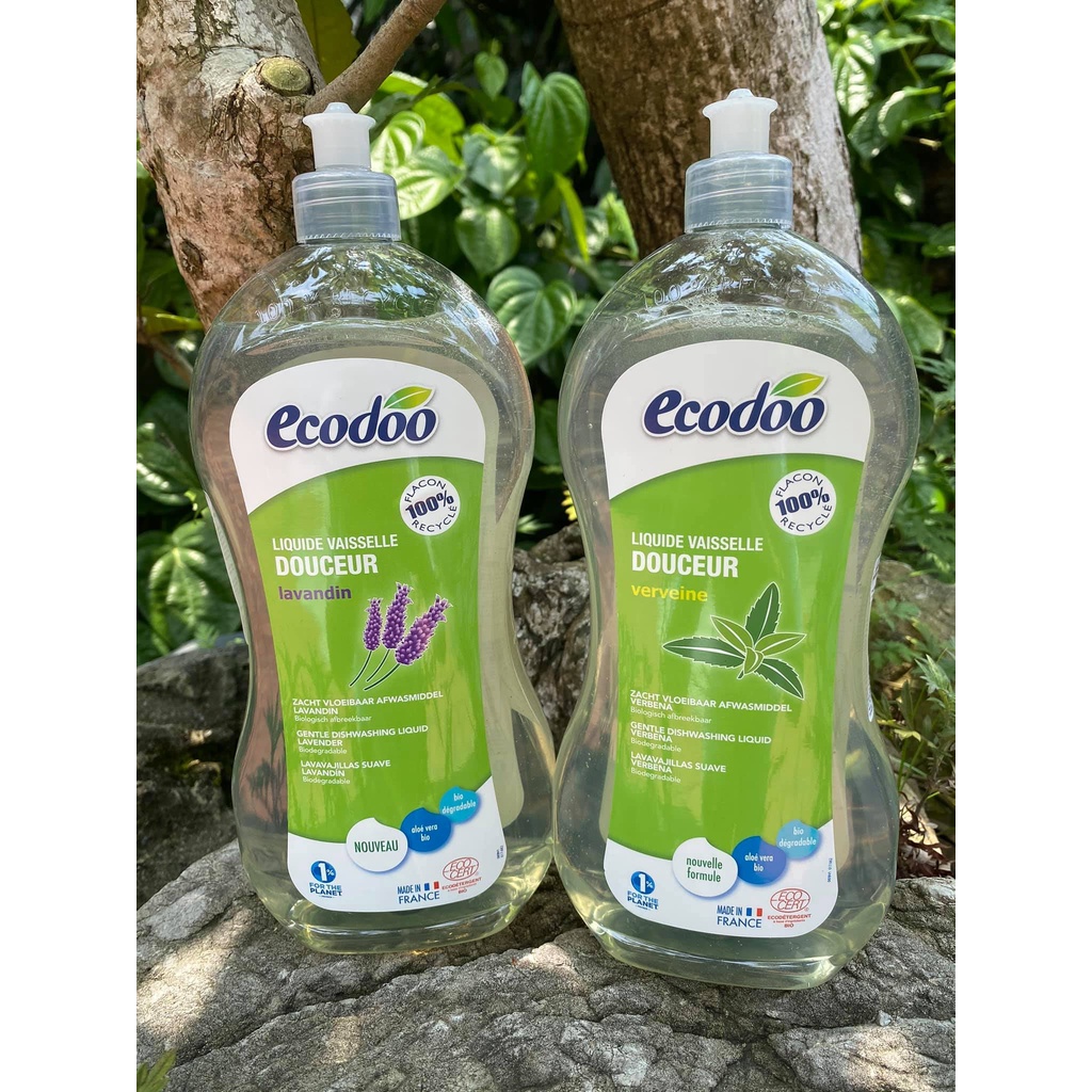 Nước rửa chén hương Lavander/lô hội cỏ roi ngựa hữu cơ sinh học 1L Ecodoo