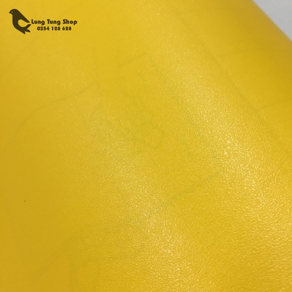 Decal dán tường có keo màu trơn