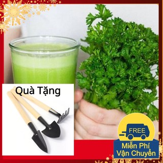 Hạt Giống Mùi Cồn Tía Tặng Bộ Dụng Cụ Mini Trồng Cây Tặng Bộ Dụng Cụ Mini Trồng Cây