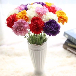 Hoa Phăng Đà Lạt cao cấp cành cao 45cm rất sang trọng - Hoa Cẩm Chướng bông lớn - Trang trí đẹp