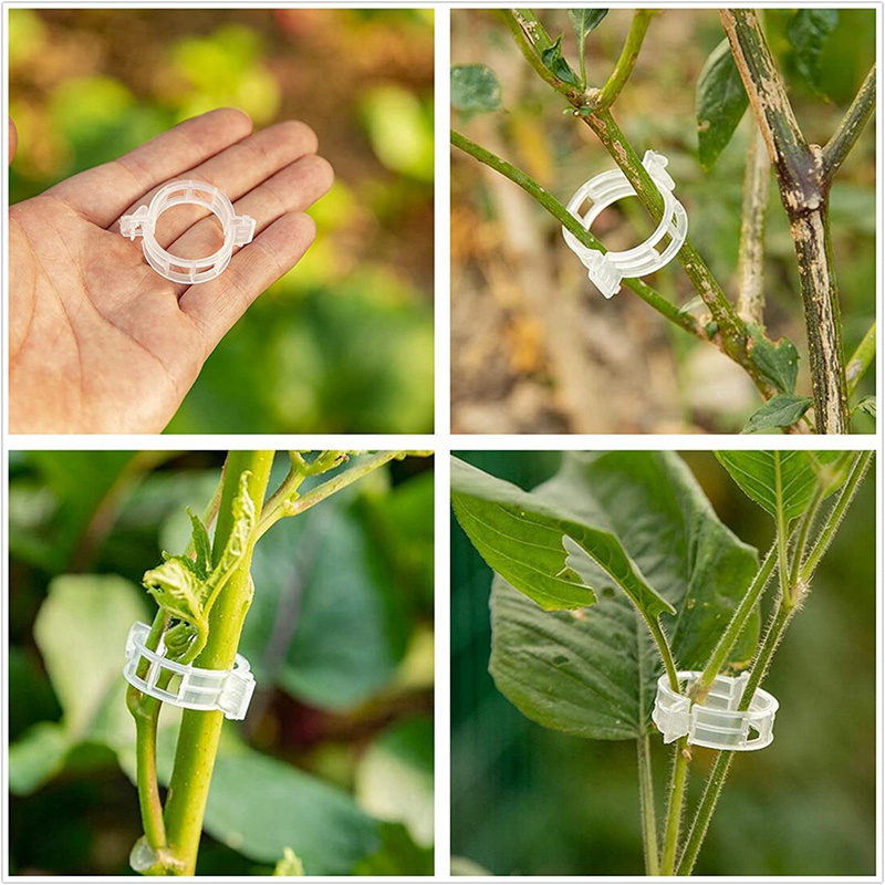 Móc Hỗ Trợ Cà Chua Có Kẹp Cà Chua Chữ J, Móc Treo Ngăn Chặn Cà Chua Hoặc Rơi Kèm Dây