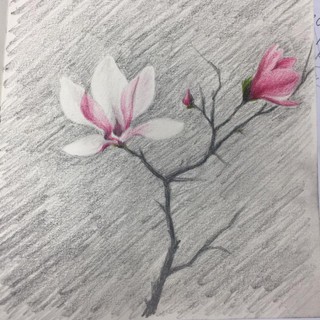 Bộ chì màu 120 màu rực rỡ