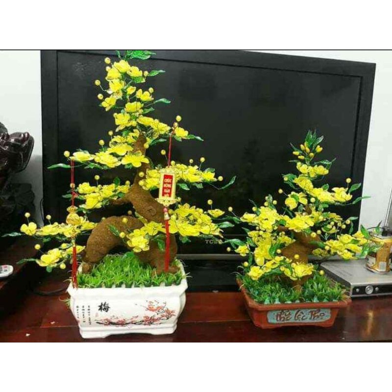 Gốc rồng làm cây mai cây đào đẹp