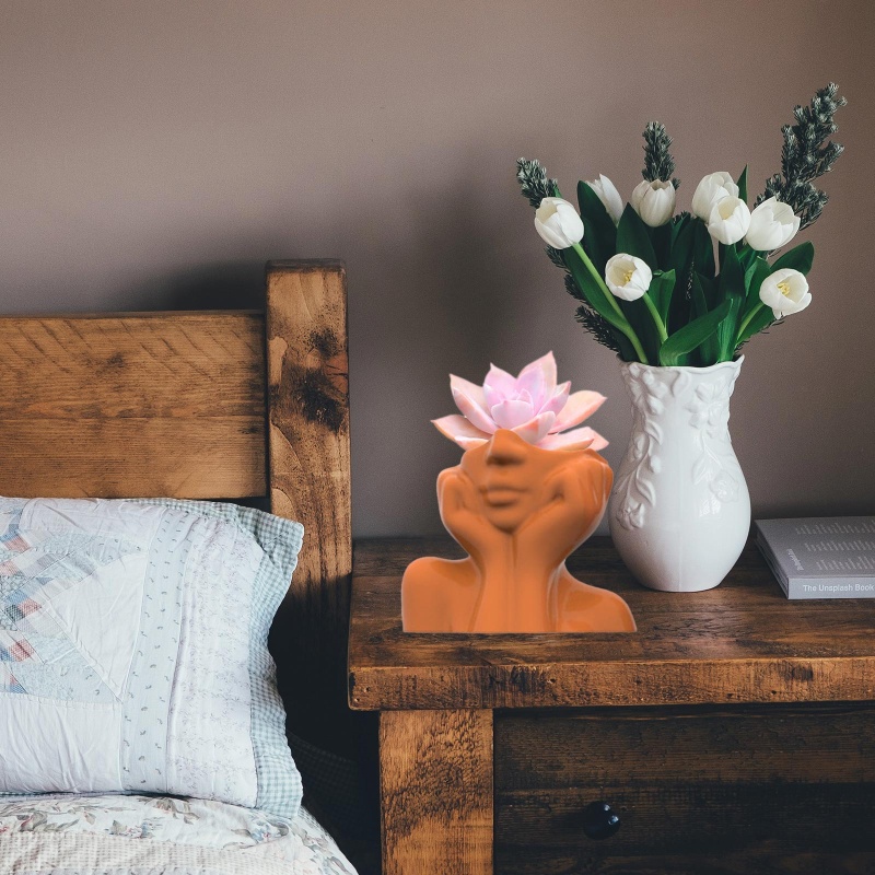 Sa Khuôn Làm Chậu Hoa / Cây Mọng Nước Trang Trí DIY