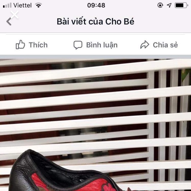 Giày da độc lạ