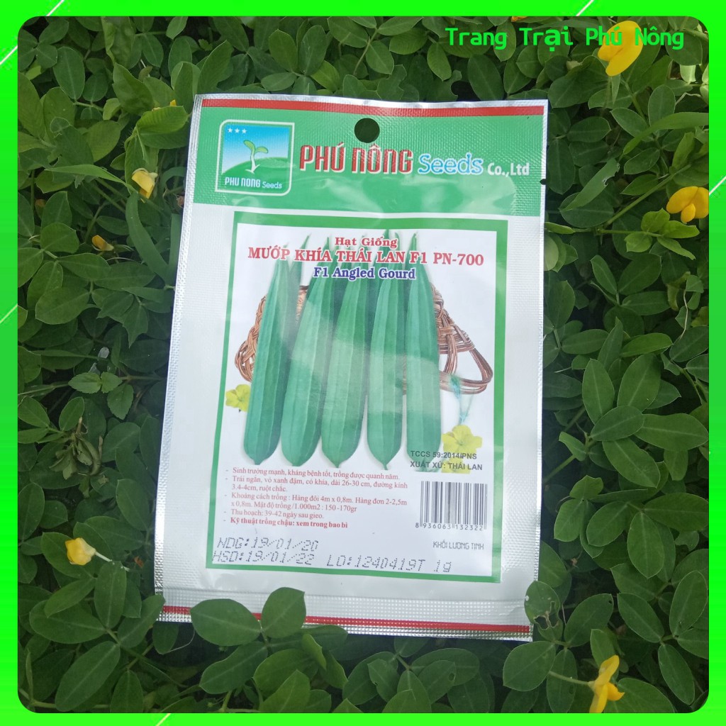 Hạt Giống Mướp Khía Thái Lan F1 PN-700 Phú Nông - Gói 1g - F1 Angled Gourd