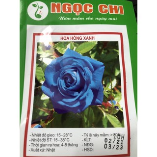Hạt giống Hoa Hồng Xanh