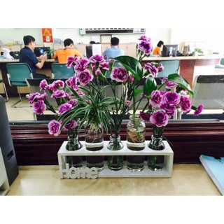 Set 5 lọ cắm hoa trang trí kèm kệ gỗ Home