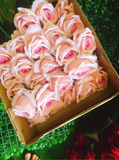 Hoa hồng màu hồng nhạt
