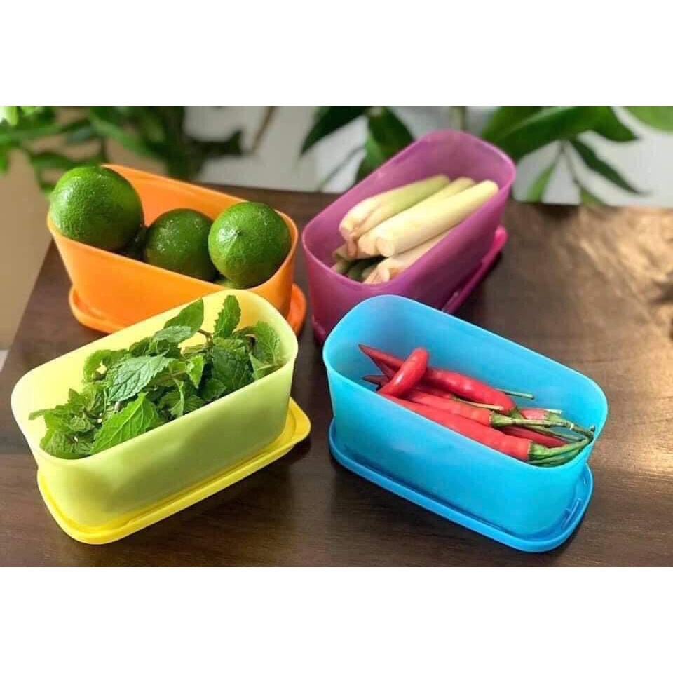 Sét/lẻ hộp mini trữ ớt tỏi ngăn mát tủ lạnh, đậu hạt 250ml Tupperware Rectangular nhựa nguyên sinh an toàn