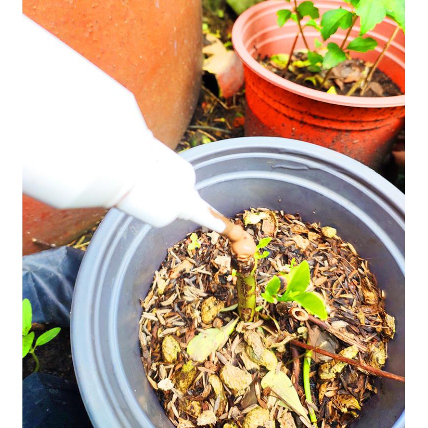 Keo Liền Da Nano Bạc 100gx 2 hủ