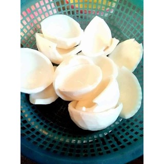 Combo 1 chuốt mi 1 lăn môi dầu dừa