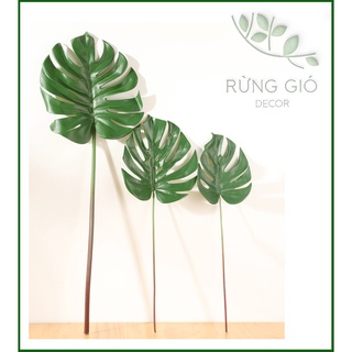 Lá trầu bà , lé xẻ nhân tạo