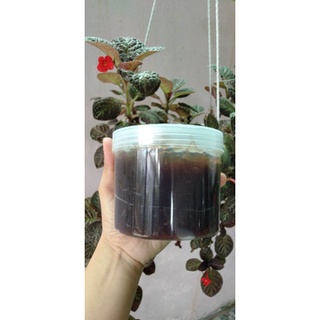 Gel làm sạch tế bào chết cafe hộp 500g