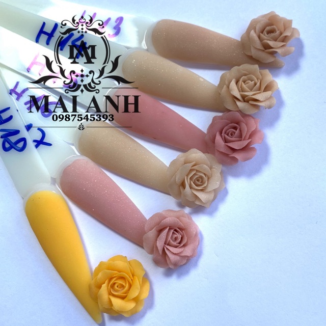 Bột Mỹ - Bột 5in1 - Bột làm Nail - Bột đắp móng - Bột làm hoa - Bột Nail - Bột nhúng (Nt để chọn màu - Sỉ Sll)