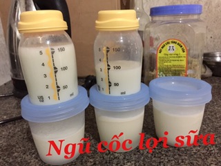 Combo NGŨ CỐC LỢI SỮA HƠN 20 HẠT