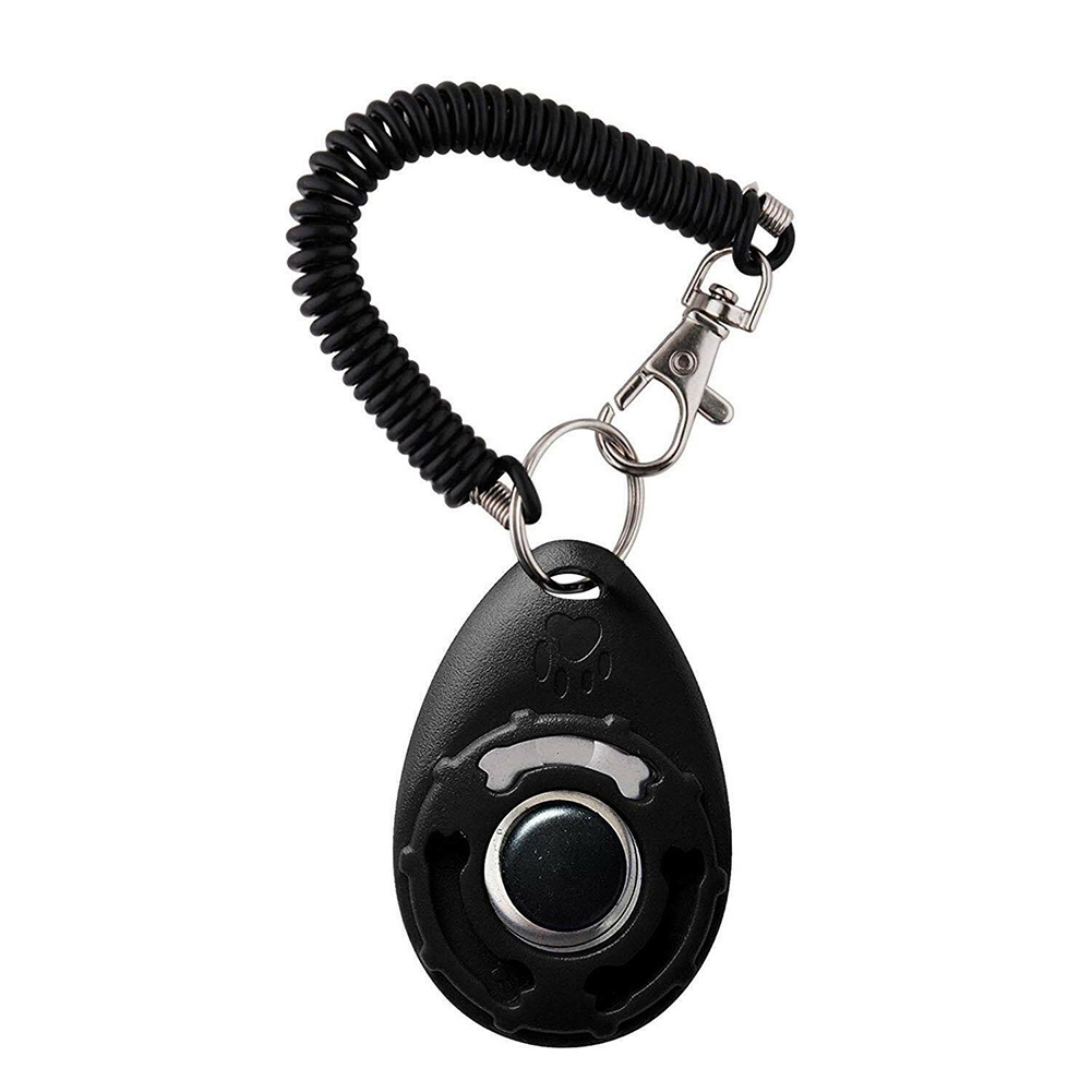 Dụng Cụ Huấn Luyện Chó Hình Oval