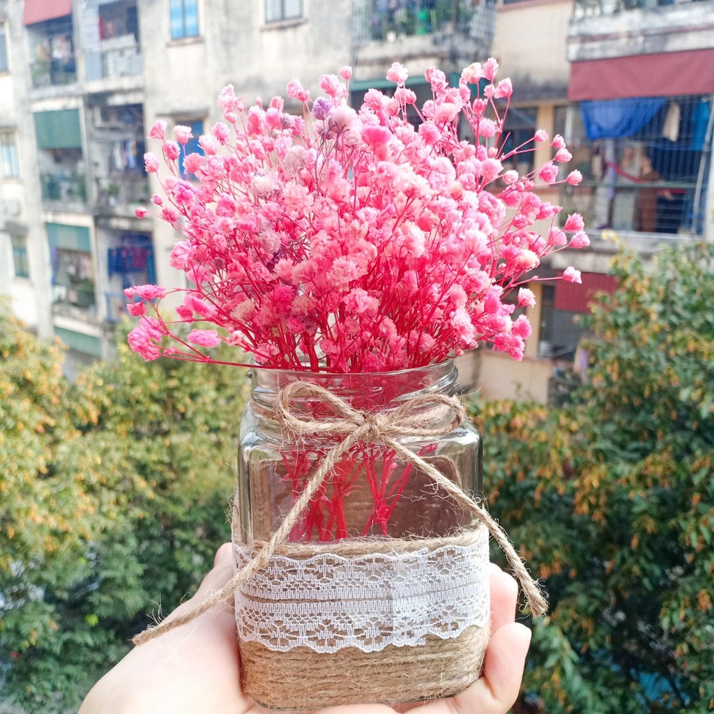 Combo hoa khô mix kèm lọ decor phòng