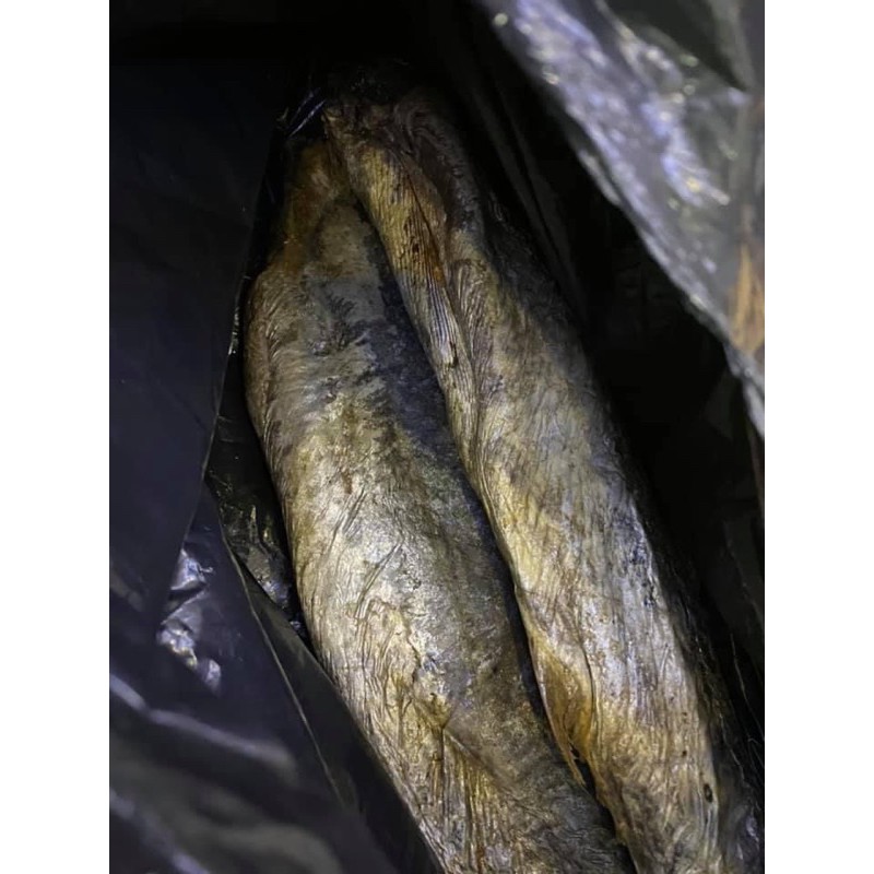 Mắm cá thu muối dùi