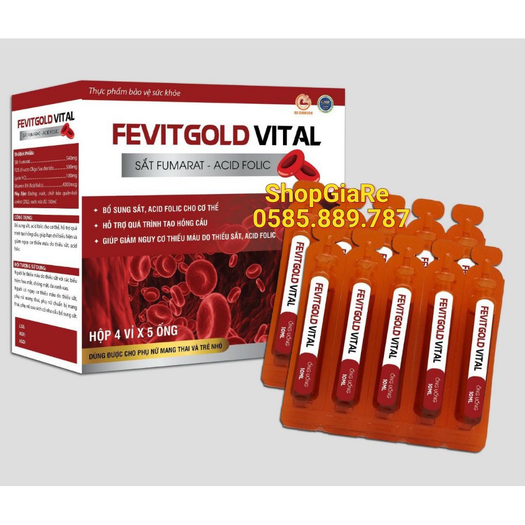 Fevitgold vital bổ sung sắt và acid folic, giảm thiếu máu do thiếu sắt, hỗ trợ quá trình tạo máu