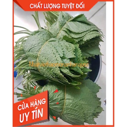 Tổng Buôn Siêu rẻ > Lá Kenhip Vừng Mè Tía Tô Cuốn Thịt nướng Hàn Quốc 1kg