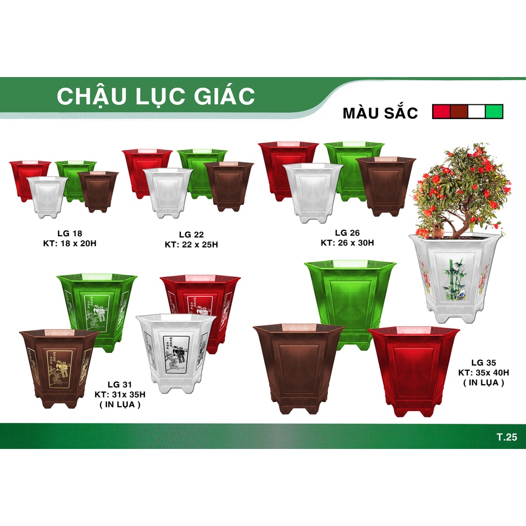 Combo 2 Chậu Nhựa Lục Giác Dáng Cao, Chân Cao Thoát Nước Tốt (kt: 35x35x24)