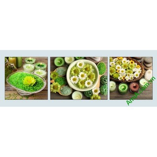 BỘ 3 TRANH SPA (40*40*3)