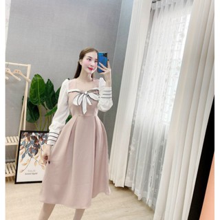 váy xòe công cở cổ nơ