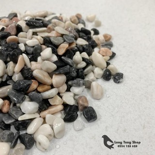 Sỏi ba màu tự nhiên ( chọn size )