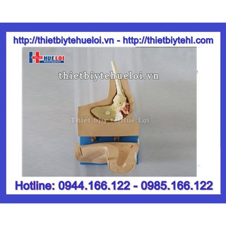 Mô hình thực hành phẫu thuật nội soi khớp vai