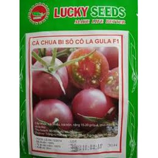 Hạt giống cà chua bi socola (30H)