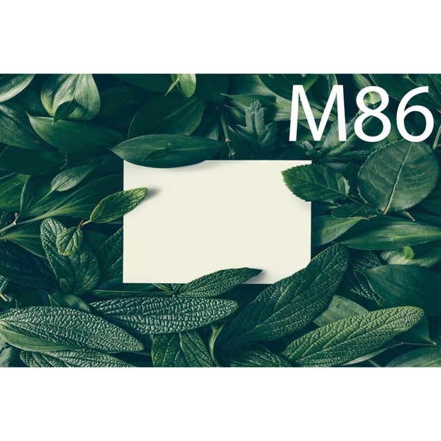 Thảm vải 3D chụp ảnh