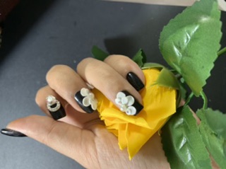 Hoa bột cúc nữa móng ôm móng